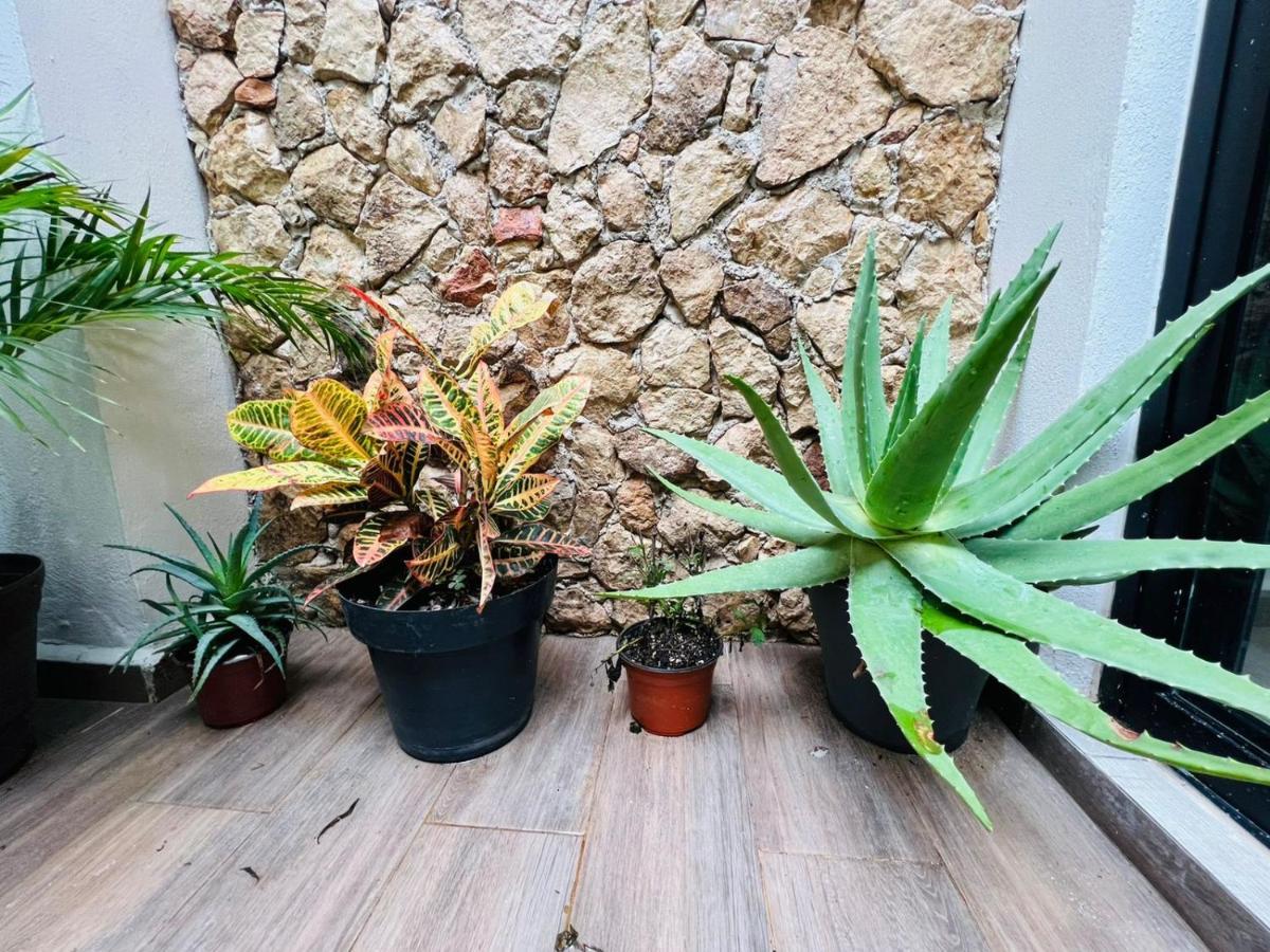 Colibri Mid - Linda Casa En El Centro Historico De Mérida Εξωτερικό φωτογραφία